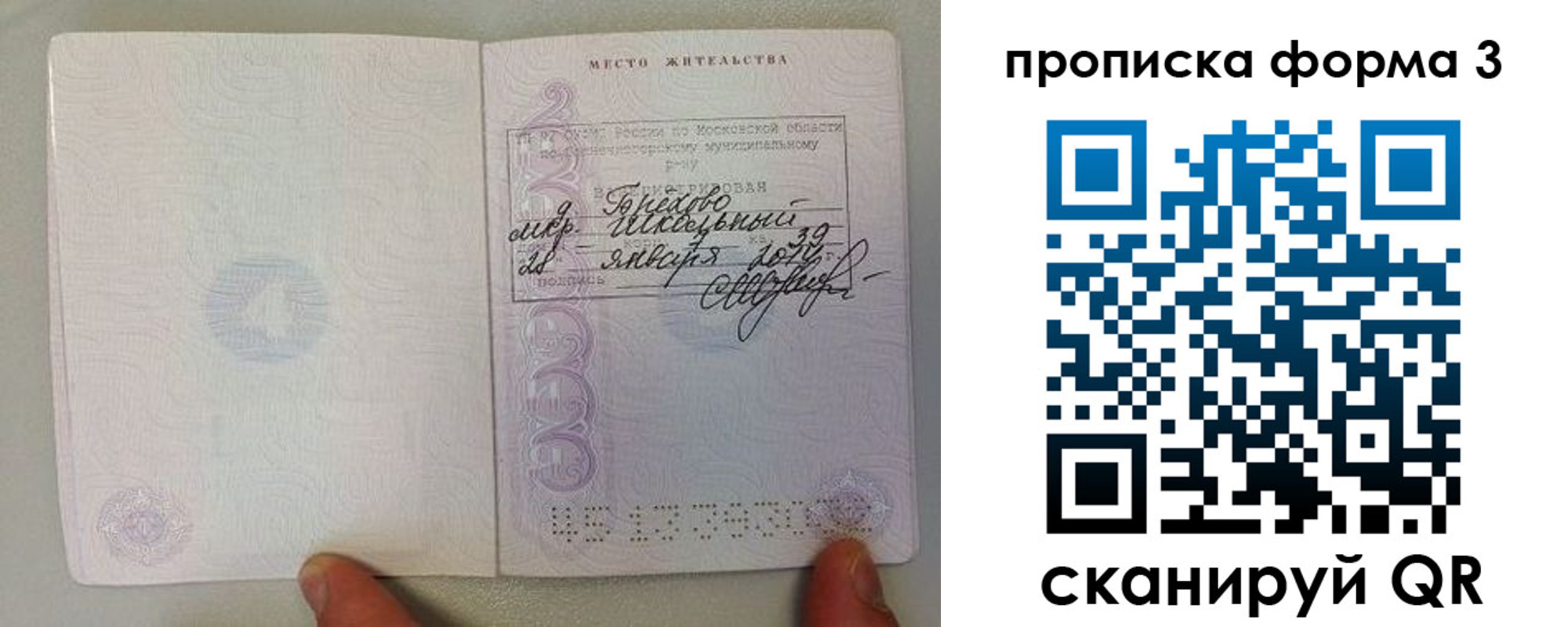 прописка гарантия в Пензе